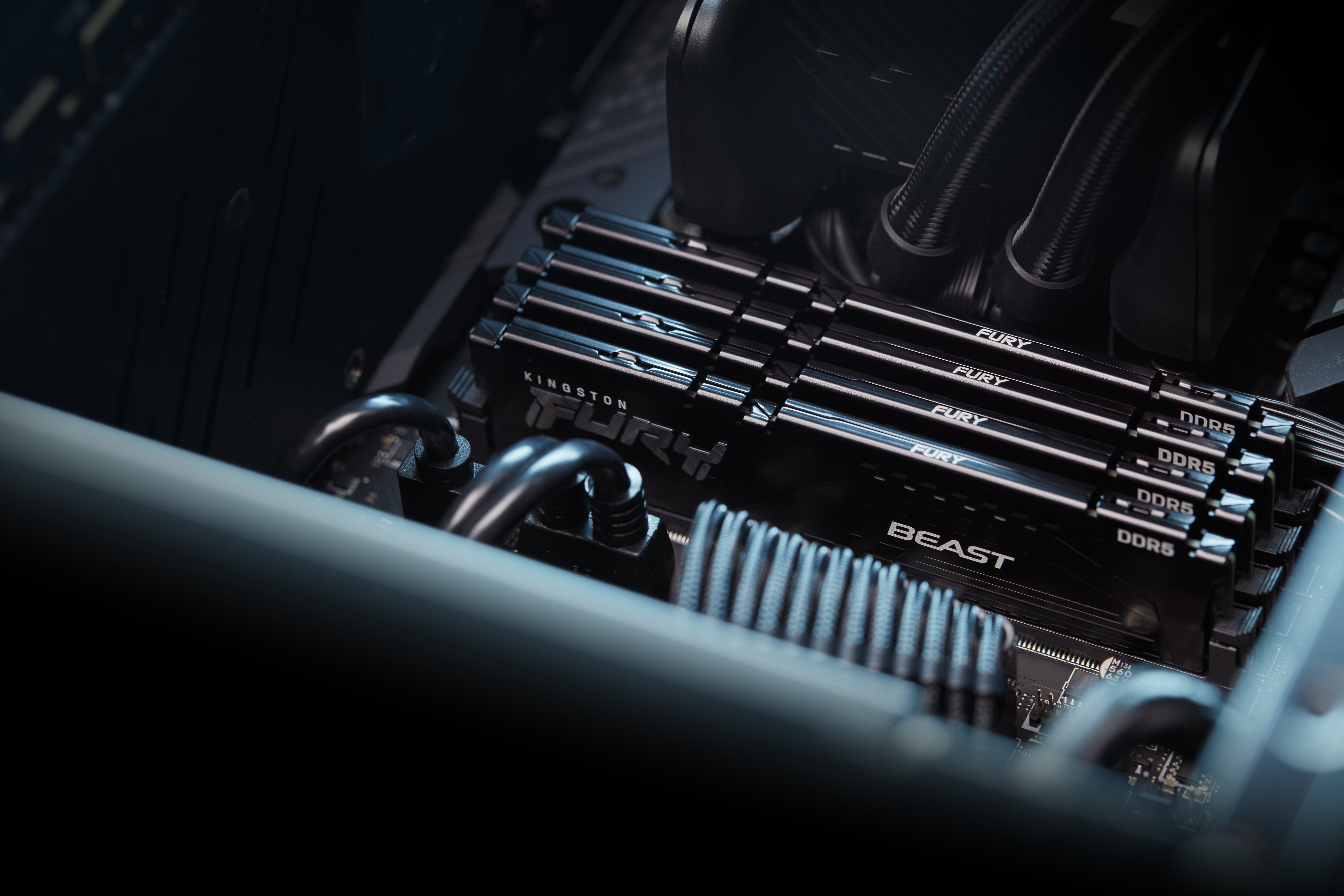 Kingston Beast Expo 16GB DDR5 5600MHz CL36 Performans Rami KF556C36BBE-16TR