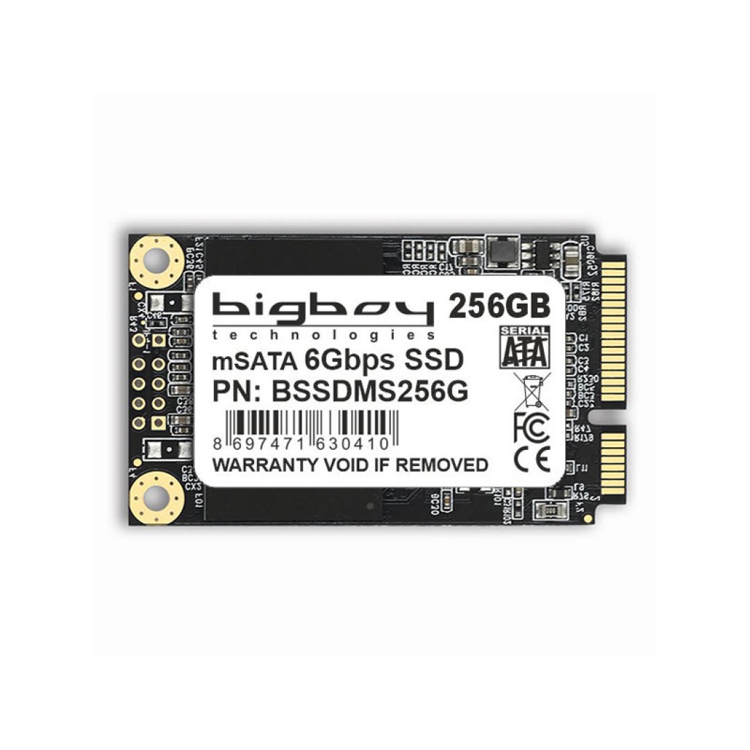 Bigboy 256GB mSata Sata3 Notebook SSD BSSDMS256G