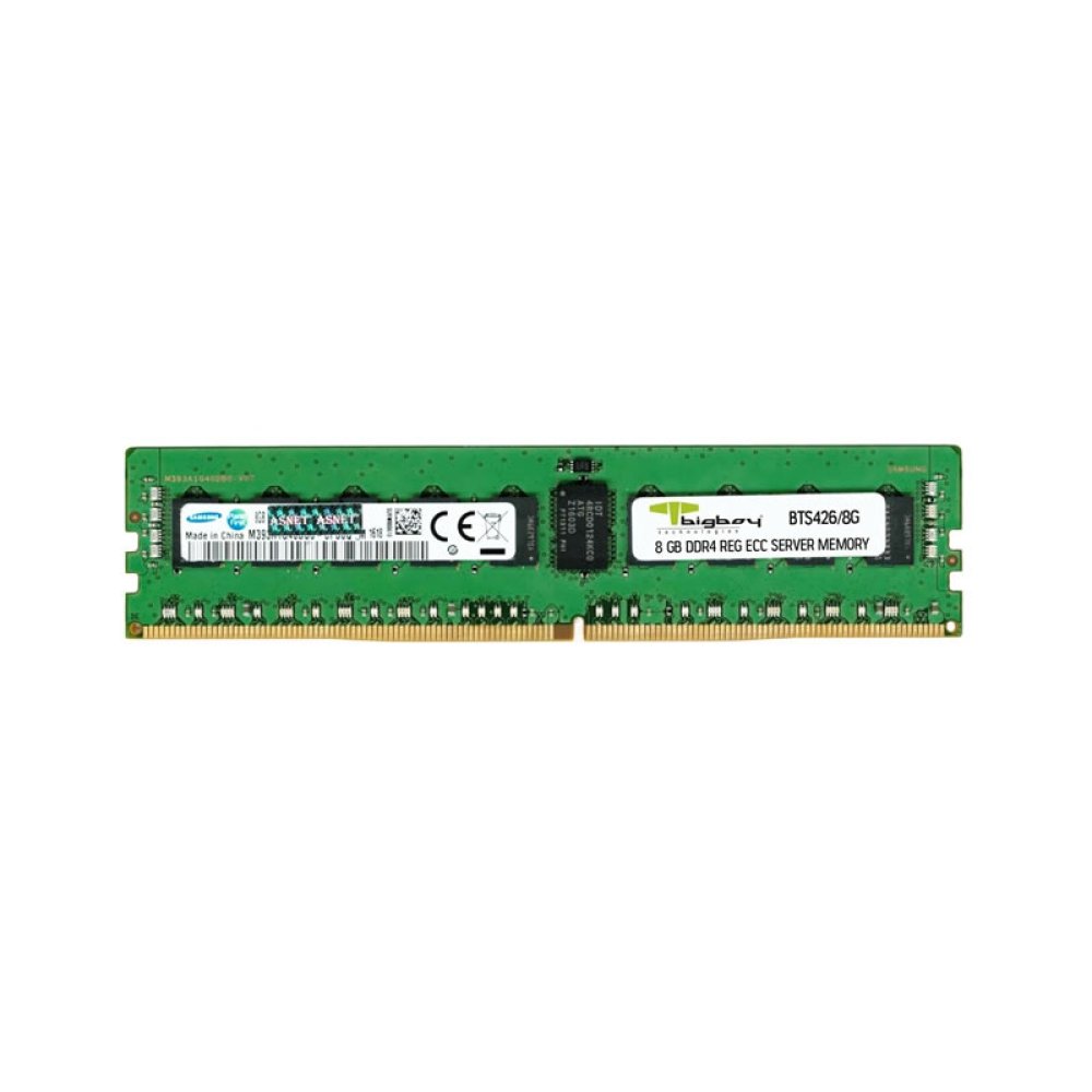Bigboy 8GB DDR4 2666 MHz CL19 Registered ECC DR 1Rx4 Server Rami BTS426/8G