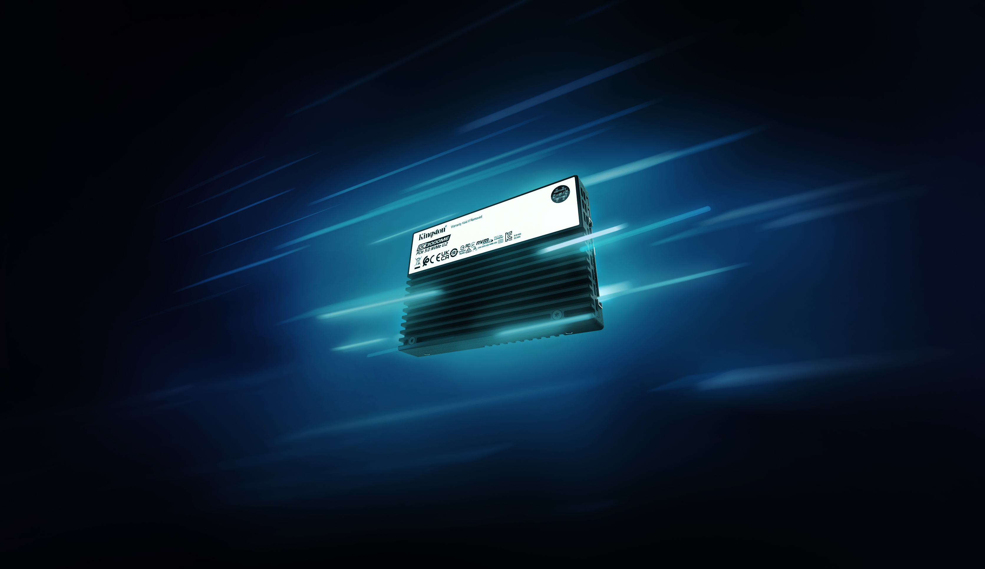 Kingston DC3000ME 3.84TB U.2 PCIe 5 NVMe Sunucu SSD SEDC3000ME/3T8